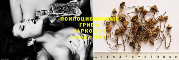 ПСИЛОЦИБИНОВЫЕ ГРИБЫ Навашино