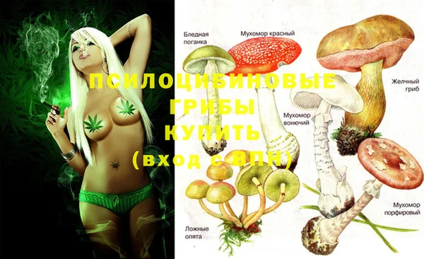молекула духа Наволоки