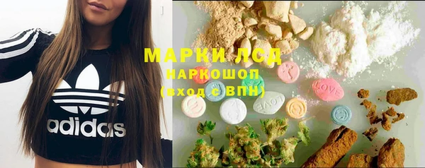 ПСИЛОЦИБИНОВЫЕ ГРИБЫ Навашино