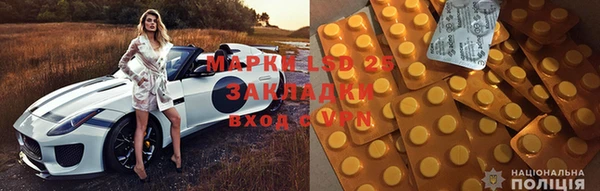 ПСИЛОЦИБИНОВЫЕ ГРИБЫ Навашино