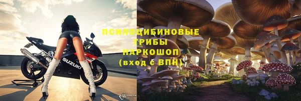 ПСИЛОЦИБИНОВЫЕ ГРИБЫ Навашино